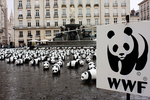 "Wereld Natuur Fonds is criminele organisatie"