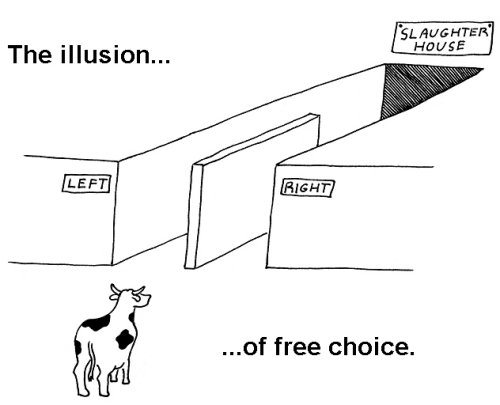 illusion-of-free-choice
