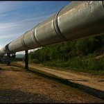 2113212191 9e8cf0ddef pipelines