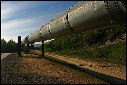 2113212191 9e8cf0ddef pipelines