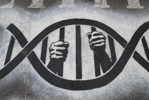 Let op! Wees zuinig op je DNA: Profielen dna-database door aanval tijdelijk openbaar, ook voor politie