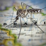 Mosquito Map of Brazil