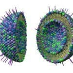 Ceramide nanoliposome