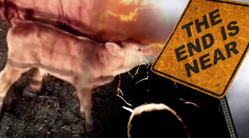 Doom is on ;-) : 'End of Days' Prophecy aangekondigd door de Joodse Fundamentalistische groep gekoppeld aan de Israëlische regering