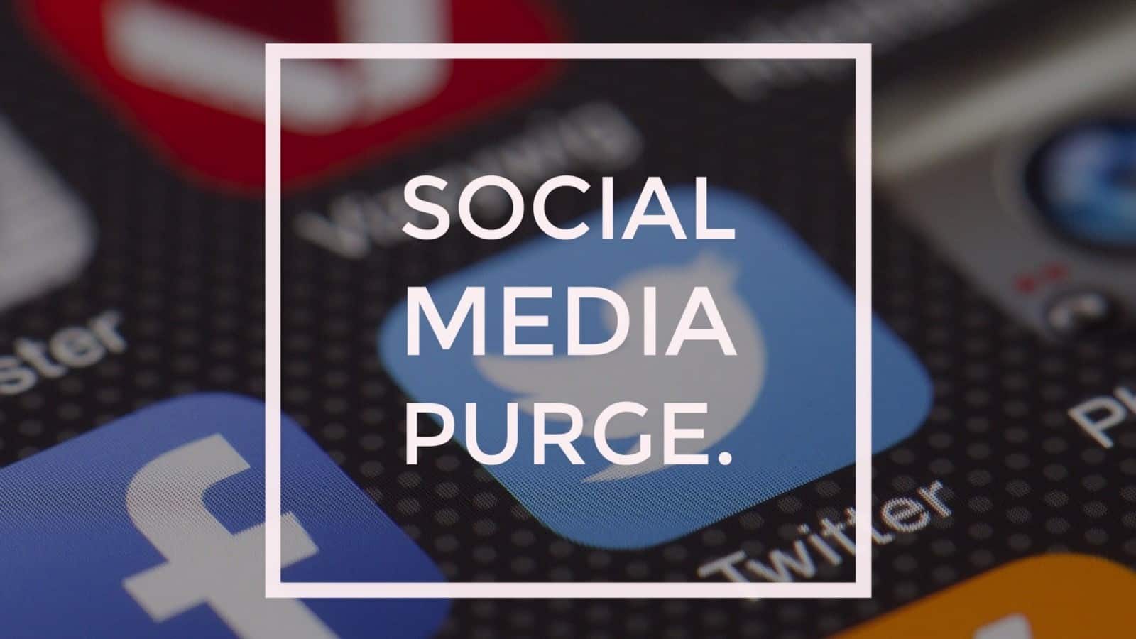 social media purge