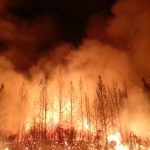 The Rim Fire in the Stanislaus National Forest near in California began on Aug. 17 2013 0004