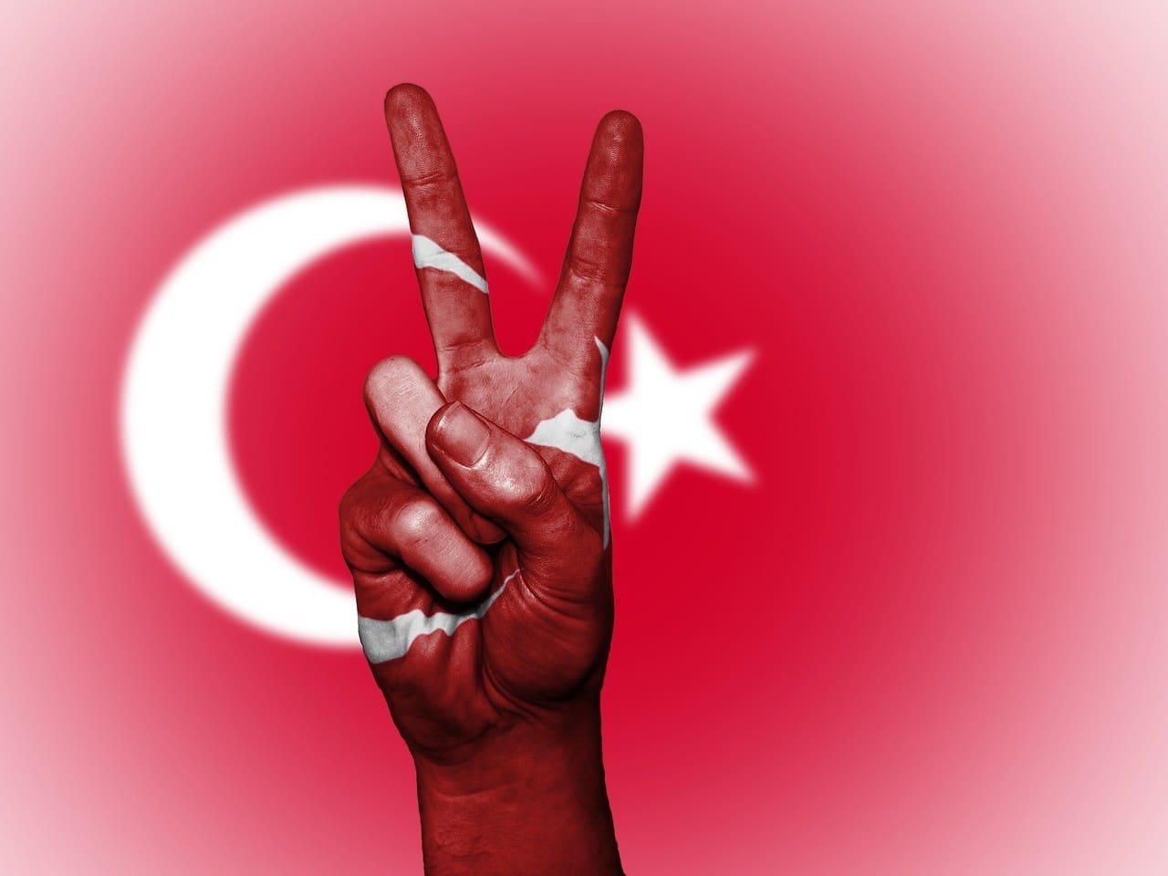 Tien Nederlandse gemeenten steunen nog altijd de fascistische Turkse Grijze Wolven