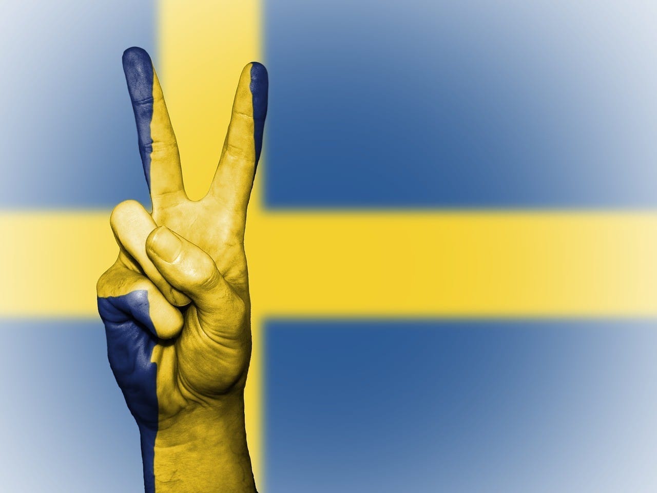 Zweedse internationale veiligheidsexpert: ‘Wij zijn bijna een failed state en op weg naar burgeroorlog door links immigratie beleid’