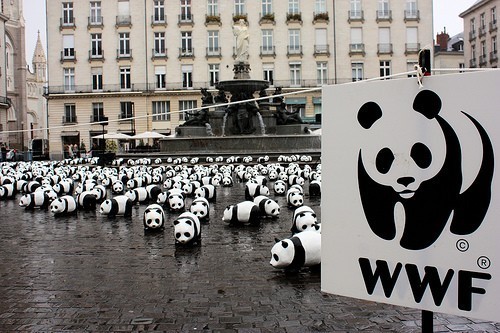 WWF(Wereld Natuur Fonds) onderzocht eigen gruweldaden, besluit om maar te zwijgen