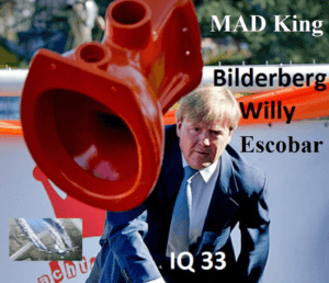 De relatie tussen Nederlandse royals, nazi's, Bilderbergers en de EU
