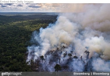 'Grote banken, verzekeraars en pensioenfondsen in Nederland gelinkt aan ontbossing Amazone'