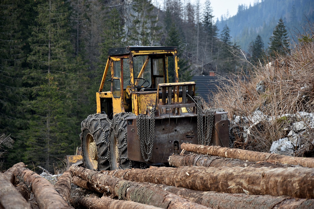 Knettergek beleid: ontbossing in Noord-Europa met 49% gestegen