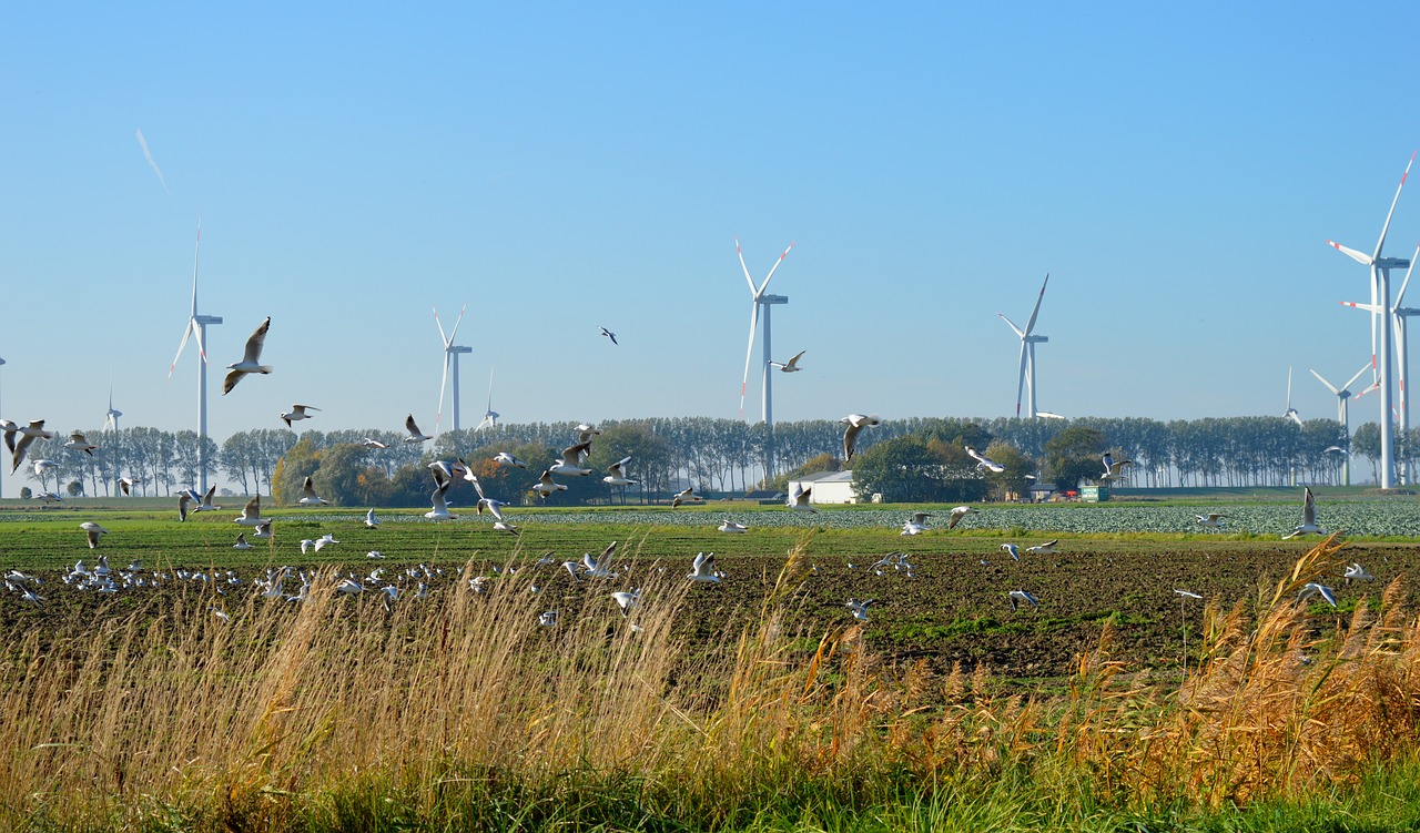 Komt er een windmolenpark in je achtertuin? In beroep gaan is volkomen kansloos