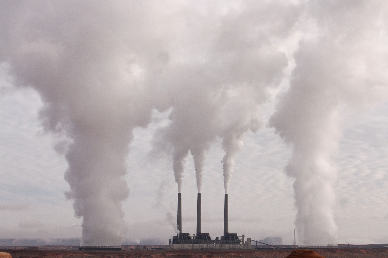 11,4 miljard belastinggeld voor MEER CO2 uitstoot, biomassa subsidie is ‘weggegooid geld’