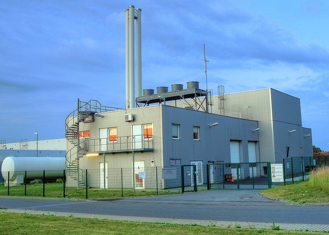 Biomassa - waarom de regering door blijft gaan met de grootste klimaatblunder