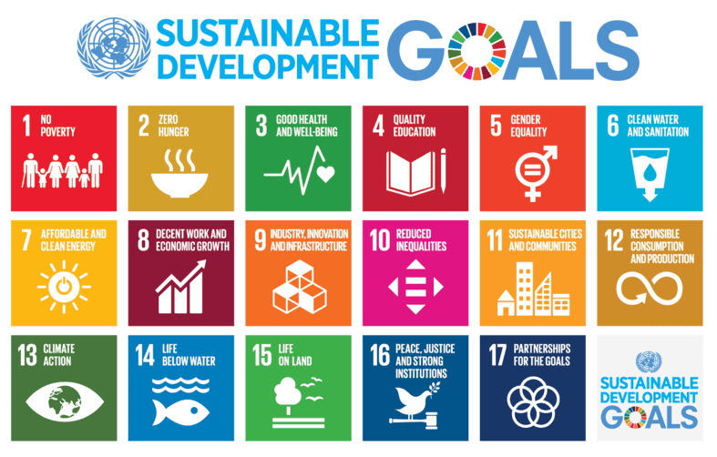 787px Sustainable Development Goals