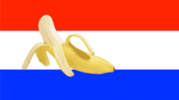 Bananenrepubliek waardig: Inspectie en ministerie pasten samen conclusies aan