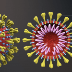 Coronavirus structure1 1 21 20