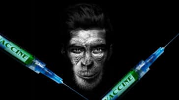 chimpansee vaccin