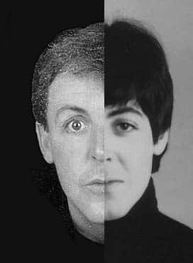 paul and faul disguise