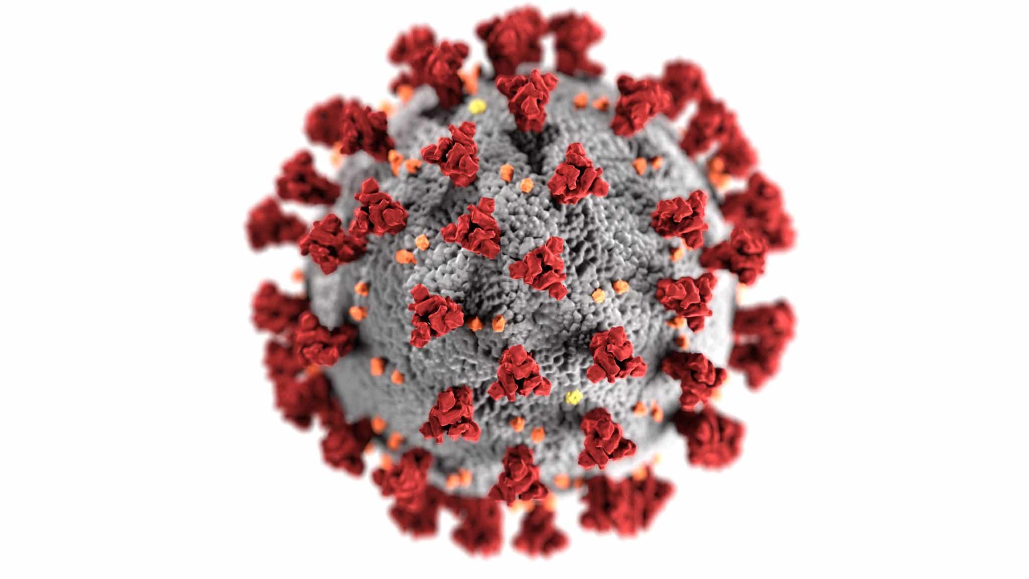 DIT EINDIGT NOOIT MEER: hoeveel doses vaccin zullen worden gepusht voor elke nieuwe coronavirusmutatie?