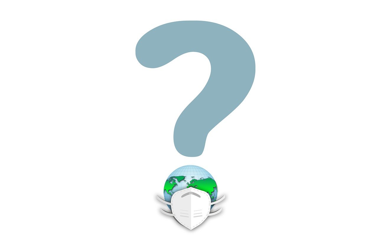 Question Mark Face Mask Globe  - geralt / Pixabay