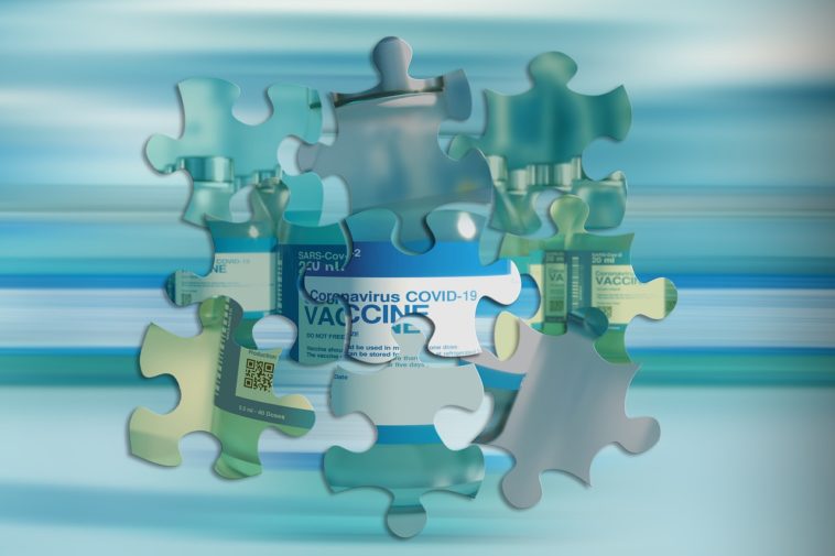 Vaccine Puzzle Healing Medical  - geralt / Pixabay