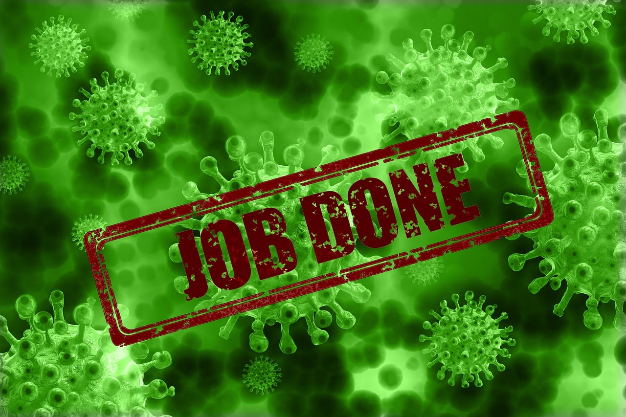Corona Virus Pandemic Coronavirus  - geralt / Pixabay