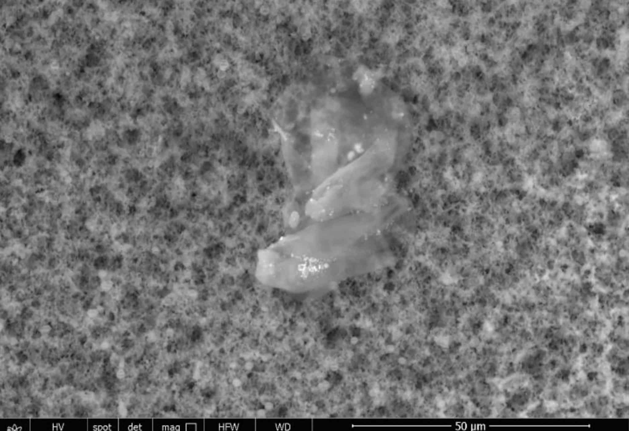 Fig9 embedded nanoparticles scaled
