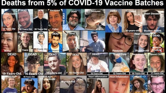 deaths from 5 percent covid vaccine batches 02 534x300 1