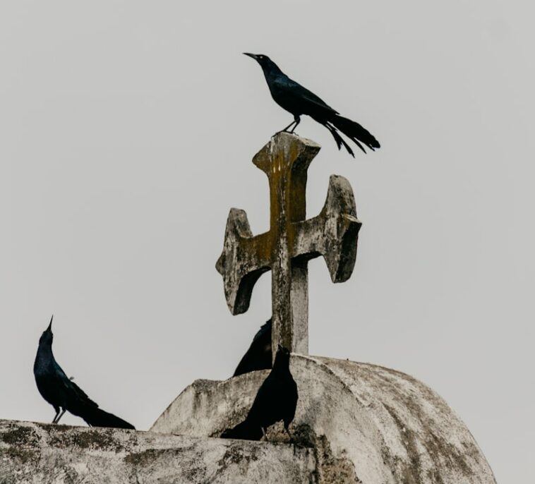 crow on white concrete cross