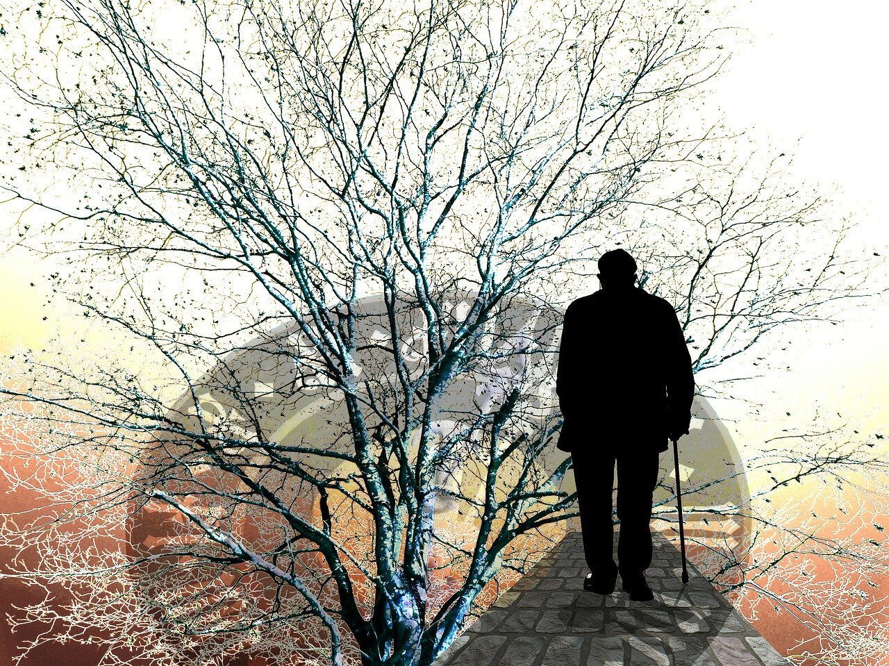 10 miljard fraude per jaar in de zorg is verder geen probleem tree, bald, clock, time, maintenance, dementia, man, old, alzheimer's, care for the elderly, age spots, old people's home, nationals, fear, care, character, think, folds, ghost, face, health, disease, human, granny, need of care, dependent, constant, care costs, seniors, calcification, supply, retirement home, civilian service, seniorin, nature, forgetfulness